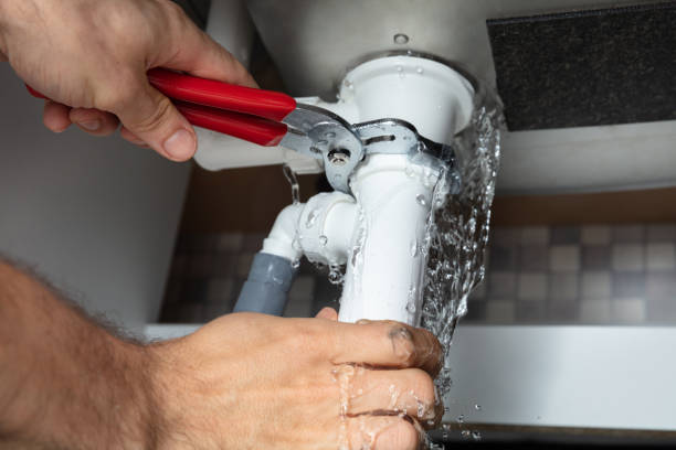 Best Water damage cleanup near me  in Lyons, NJ