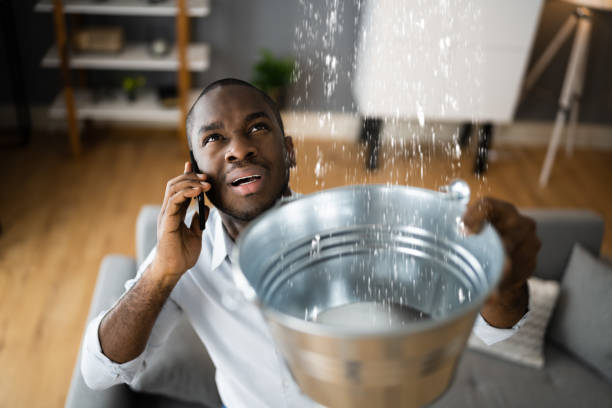Best Residential water damage restoration  in Lyons, NJ