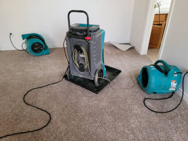 Best Ceiling water damage repair  in Lyons, NJ