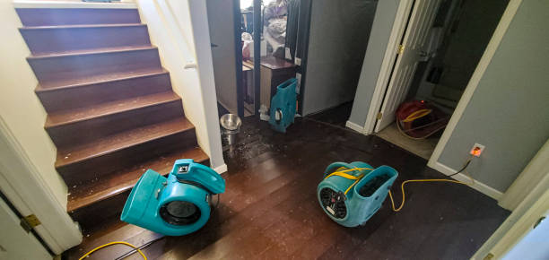 Best Commercial water damage restoration  in Lyons, NJ