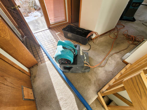 Best Professional water damage repair  in Lyons, NJ