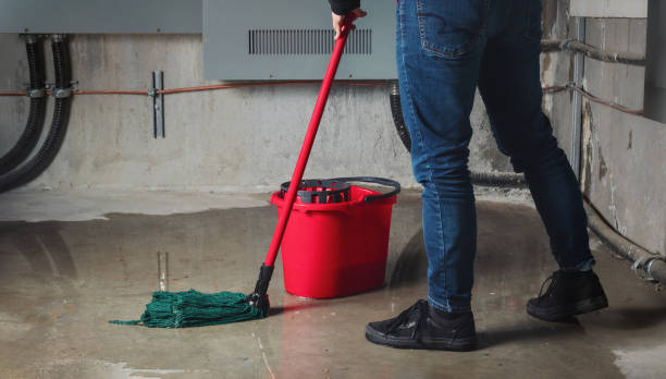 Best Sewage cleanup and water damage restoration  in Lyons, NJ