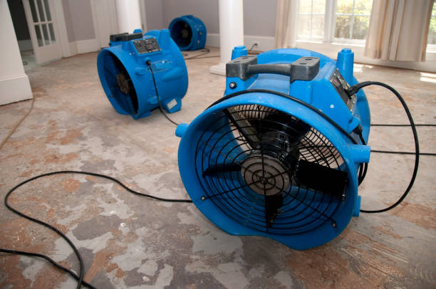 Best 24-hour water damage restoration  in Lyons, NJ