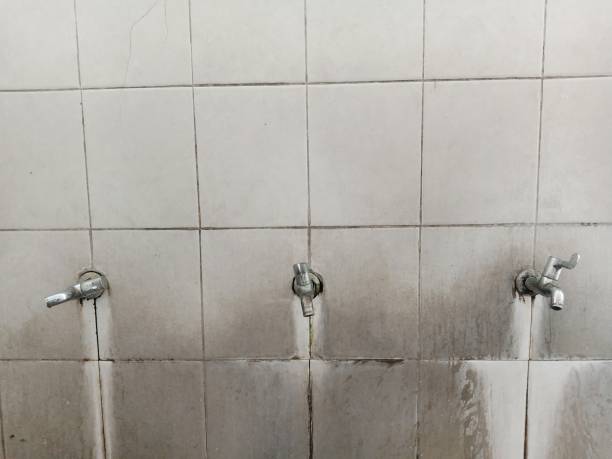 Best Flood damage cleanup  in Lyons, NJ
