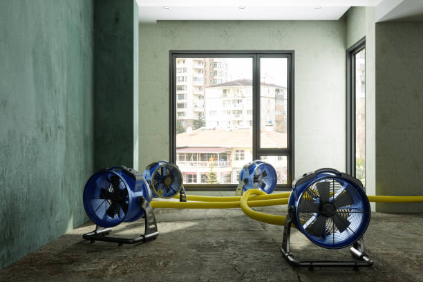 Best Flood restoration services  in Lyons, NJ